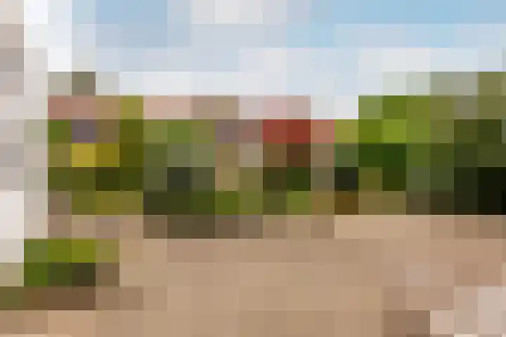 De Noord 28 Dronten thumbnail 38