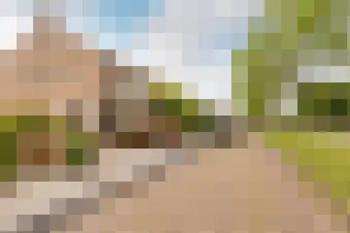 De Noord 28 Dronten thumbnail 42