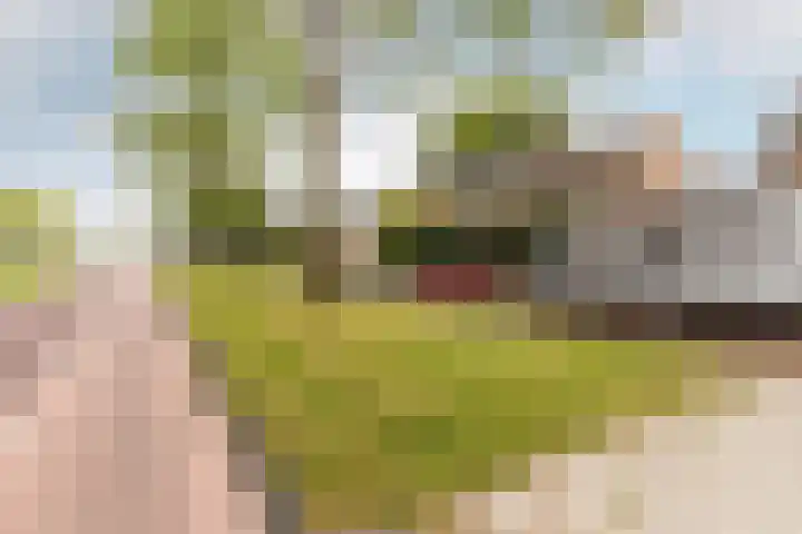 De Noord 28 Dronten thumbnail 43