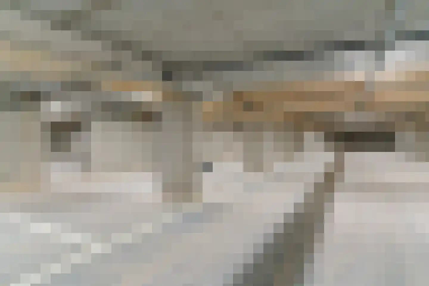 De Noord 32 Akersloot thumbnail 43