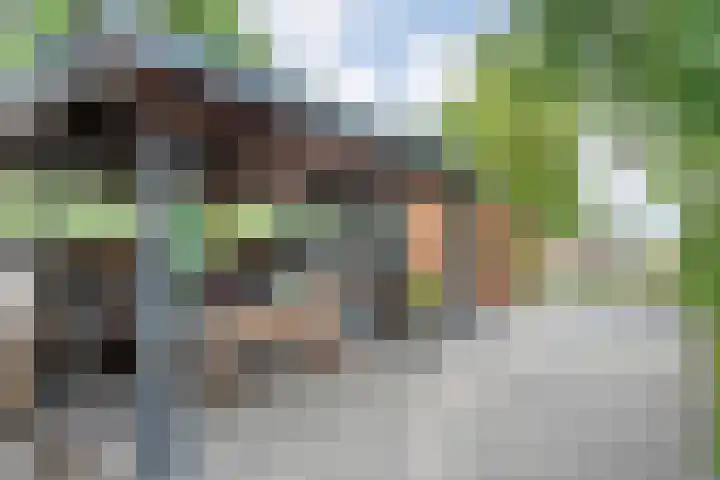 de Noord 47 IJsselmuiden thumbnail 10