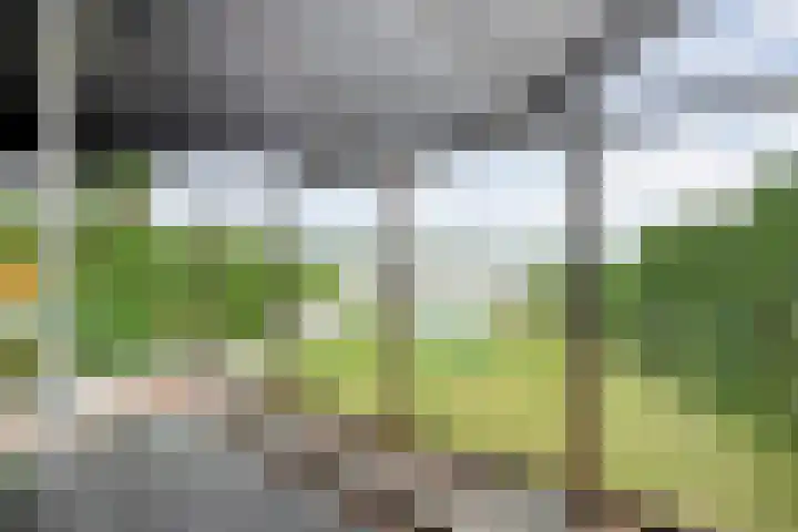 de Noord 47 IJsselmuiden thumbnail 30