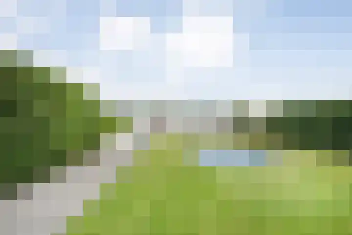 de Noord 47 IJsselmuiden thumbnail 31
