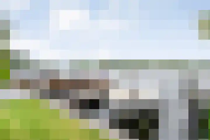 de Noord 47 IJsselmuiden thumbnail 32