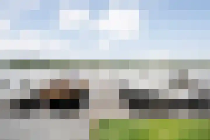 de Noord 47 IJsselmuiden thumbnail 33