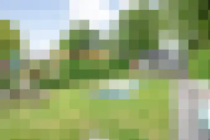 de Noord 47 IJsselmuiden thumbnail 34