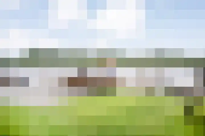 de Noord 47 IJsselmuiden thumbnail 37