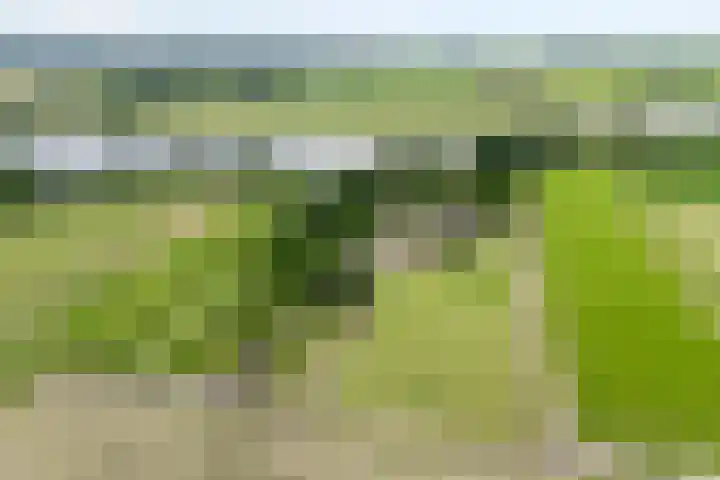 de Noord 47 IJsselmuiden thumbnail 40