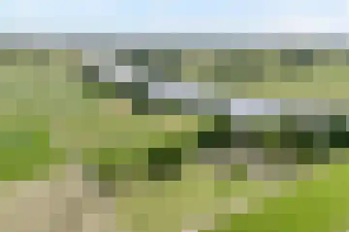 de Noord 47 IJsselmuiden thumbnail 41