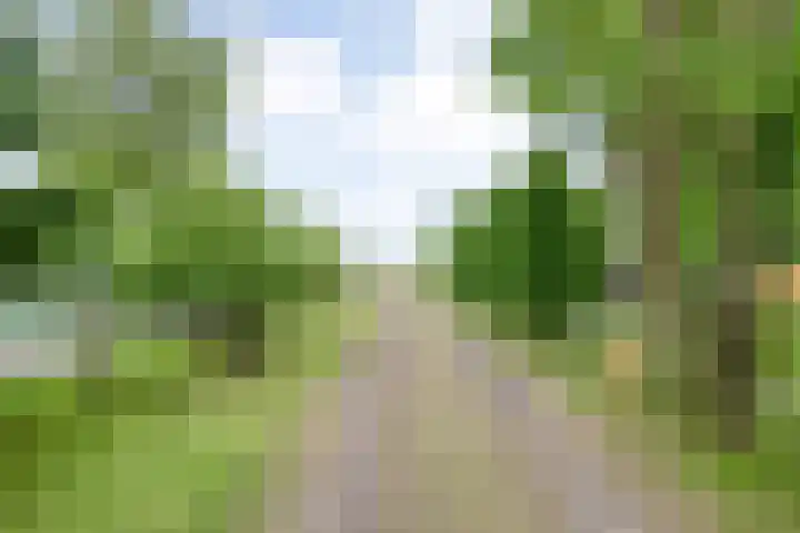 de Noord 47 IJsselmuiden thumbnail 6