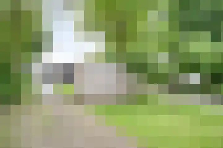 de Noord 47 IJsselmuiden thumbnail 7