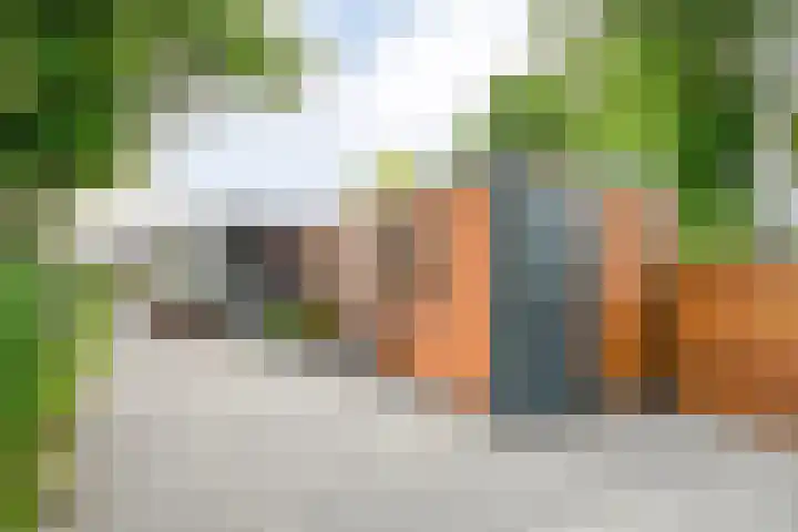 de Noord 47 IJsselmuiden thumbnail 9