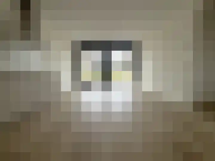 De Noord 48 A Dronten thumbnail 6