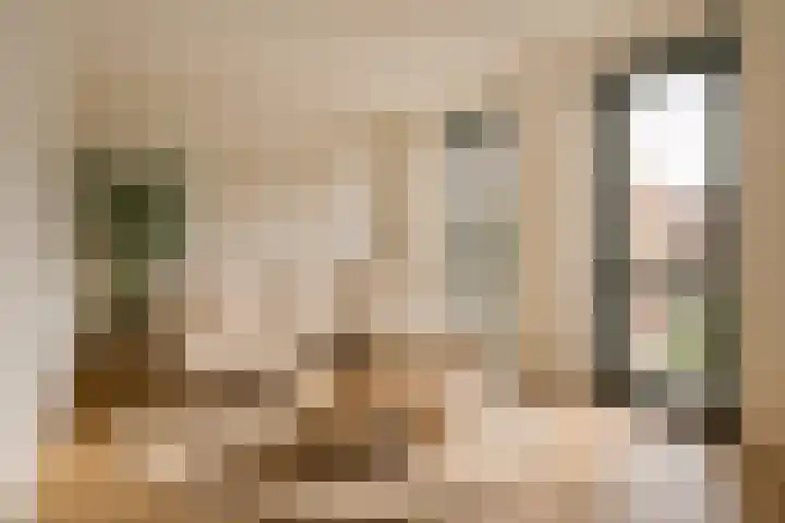 De Noord 50 D Dronten thumbnail 33