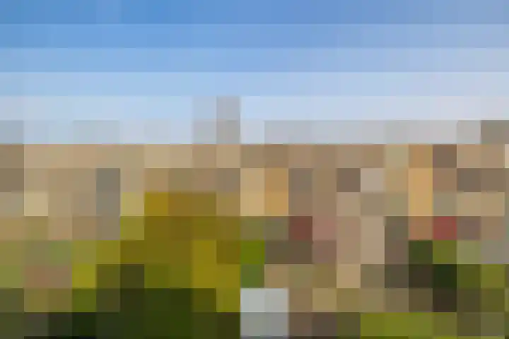 De Noord 50 E Dronten thumbnail 15