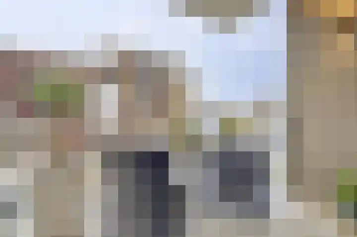 De Noord 50 E Dronten thumbnail 22