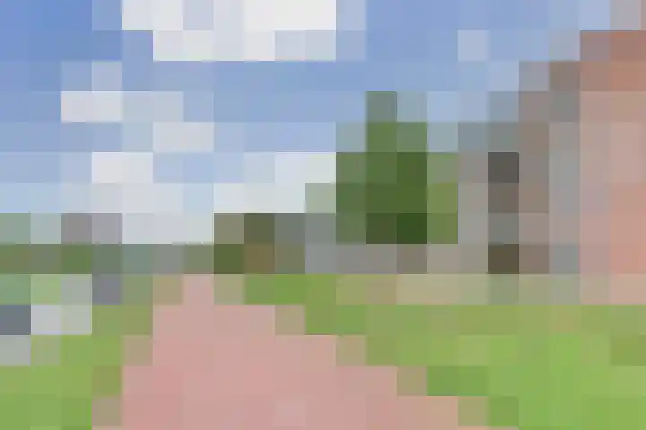 De Noord 52 D Dronten thumbnail 26
