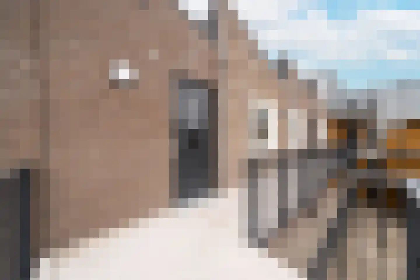 De Noord 52 F Dronten thumbnail 8