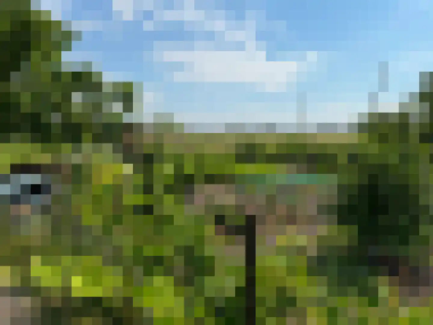 de Noord 52 GR IJsselmuiden thumbnail 10