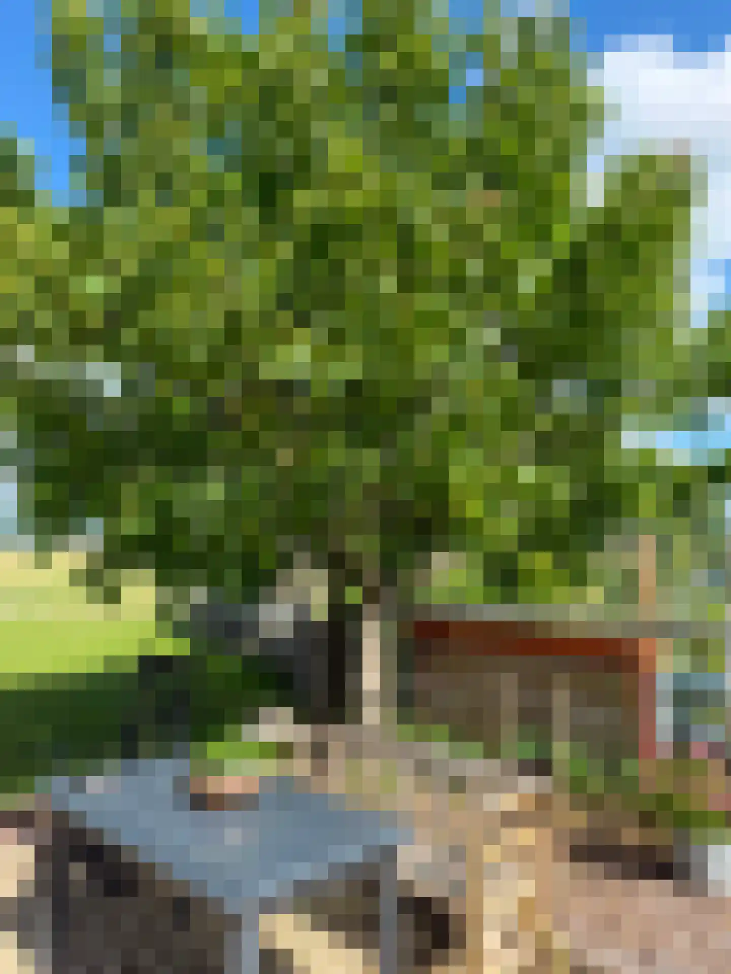 de Noord 52 GR IJsselmuiden thumbnail 11