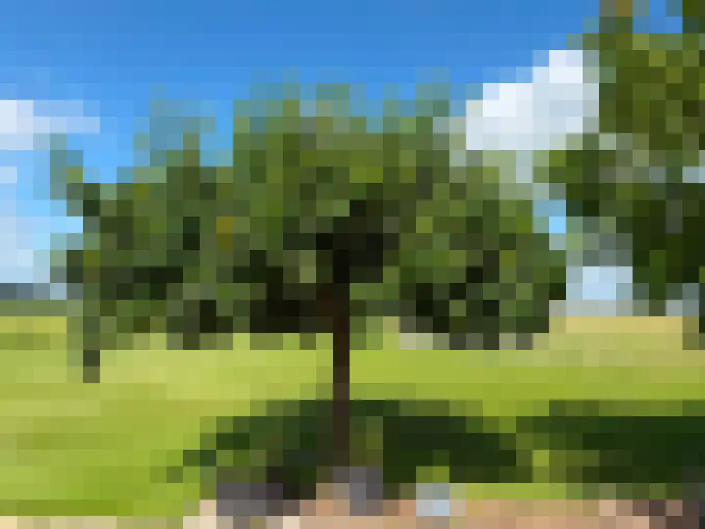 de Noord 52 GR IJsselmuiden thumbnail 12