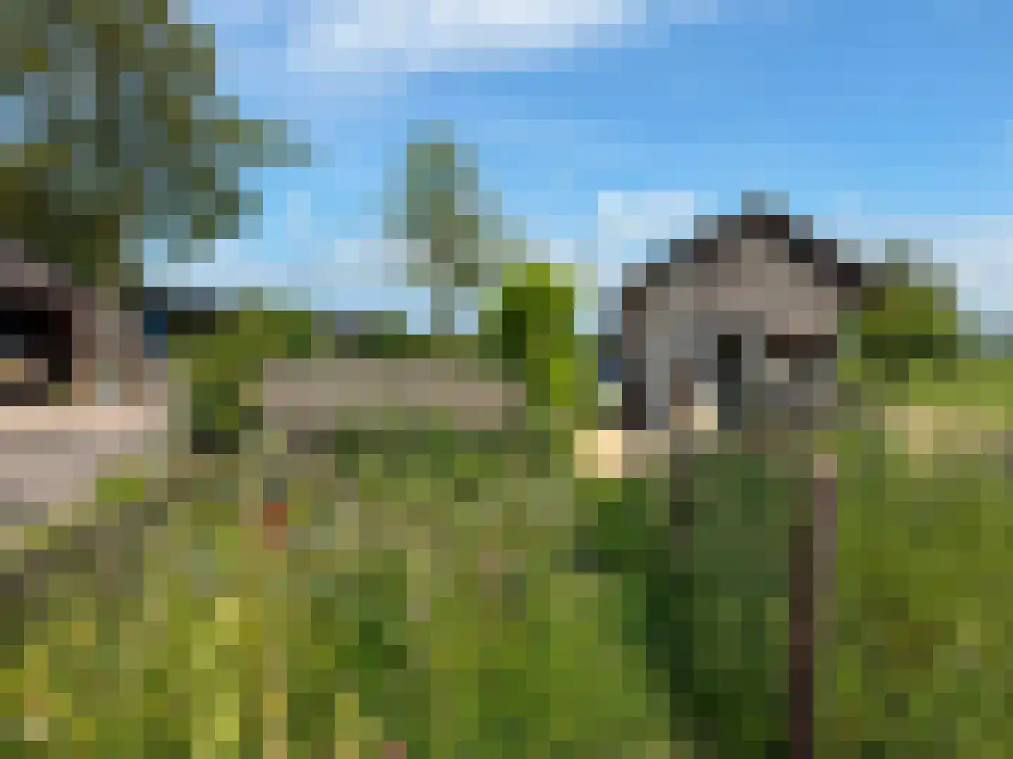 de Noord 52 GR IJsselmuiden thumbnail 13