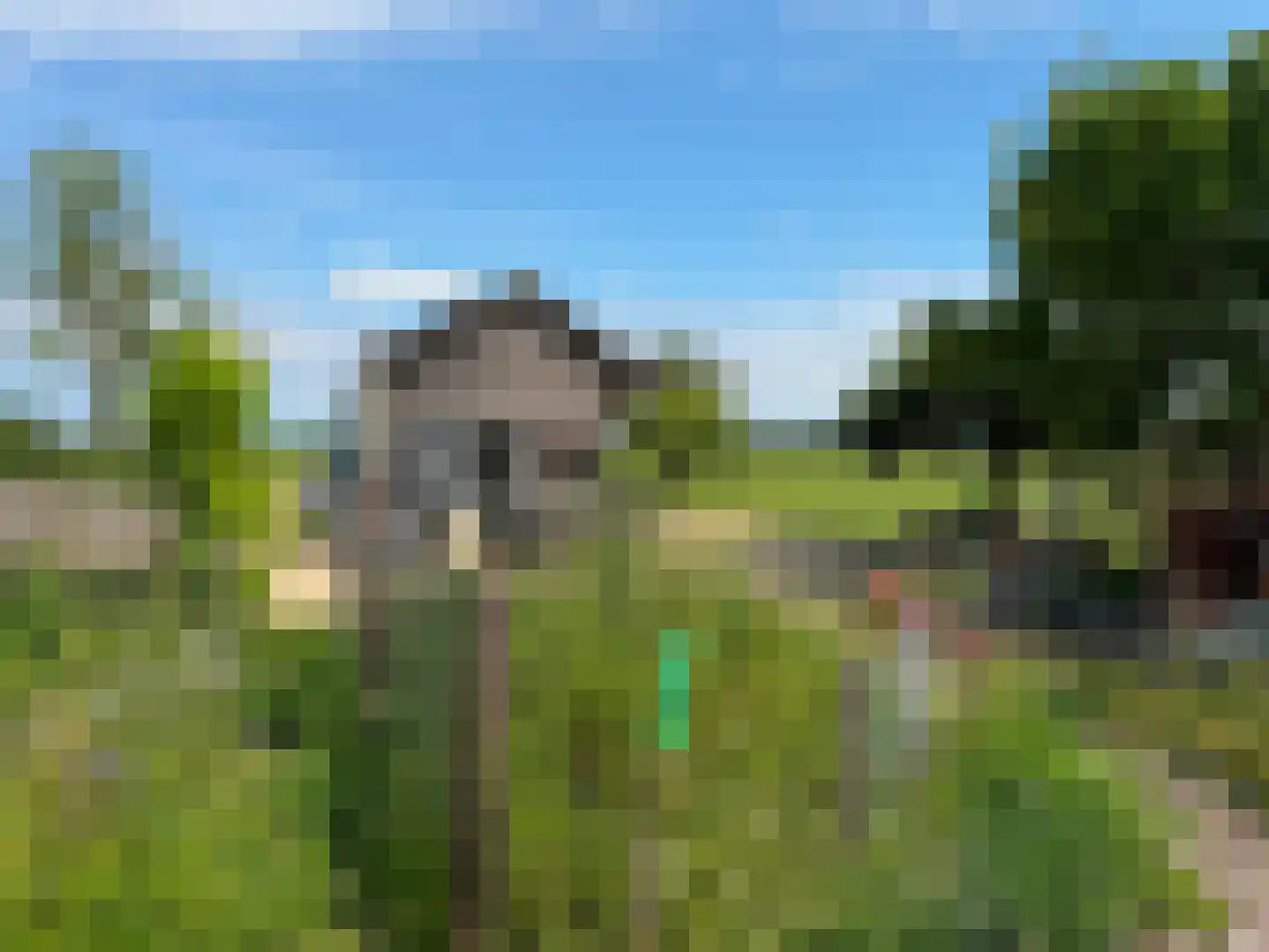 de Noord 52 GR IJsselmuiden thumbnail 14