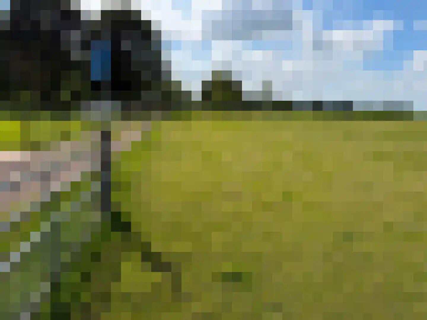 de Noord 52 GR IJsselmuiden thumbnail 19