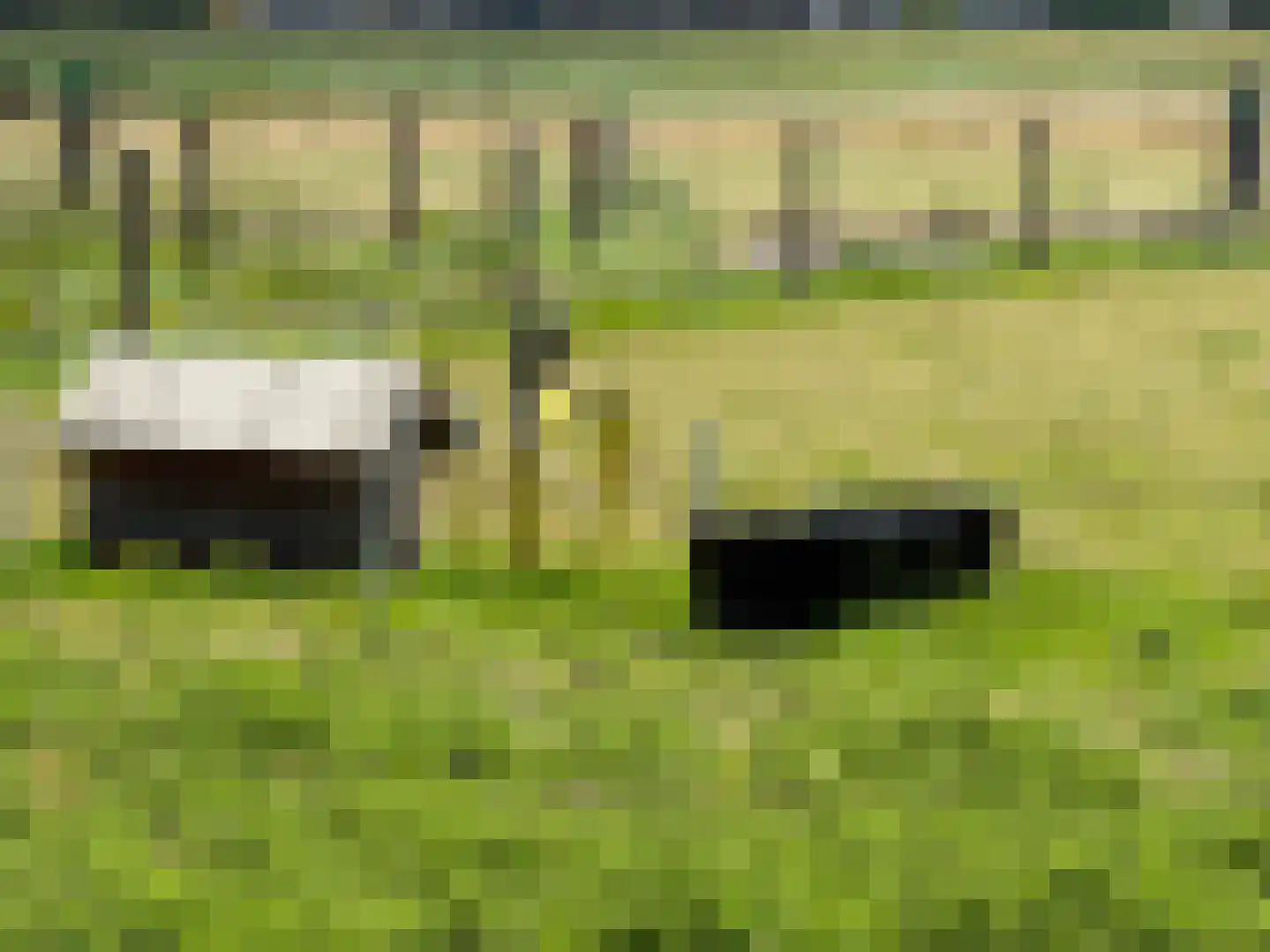 de Noord 52 GR IJsselmuiden thumbnail 28