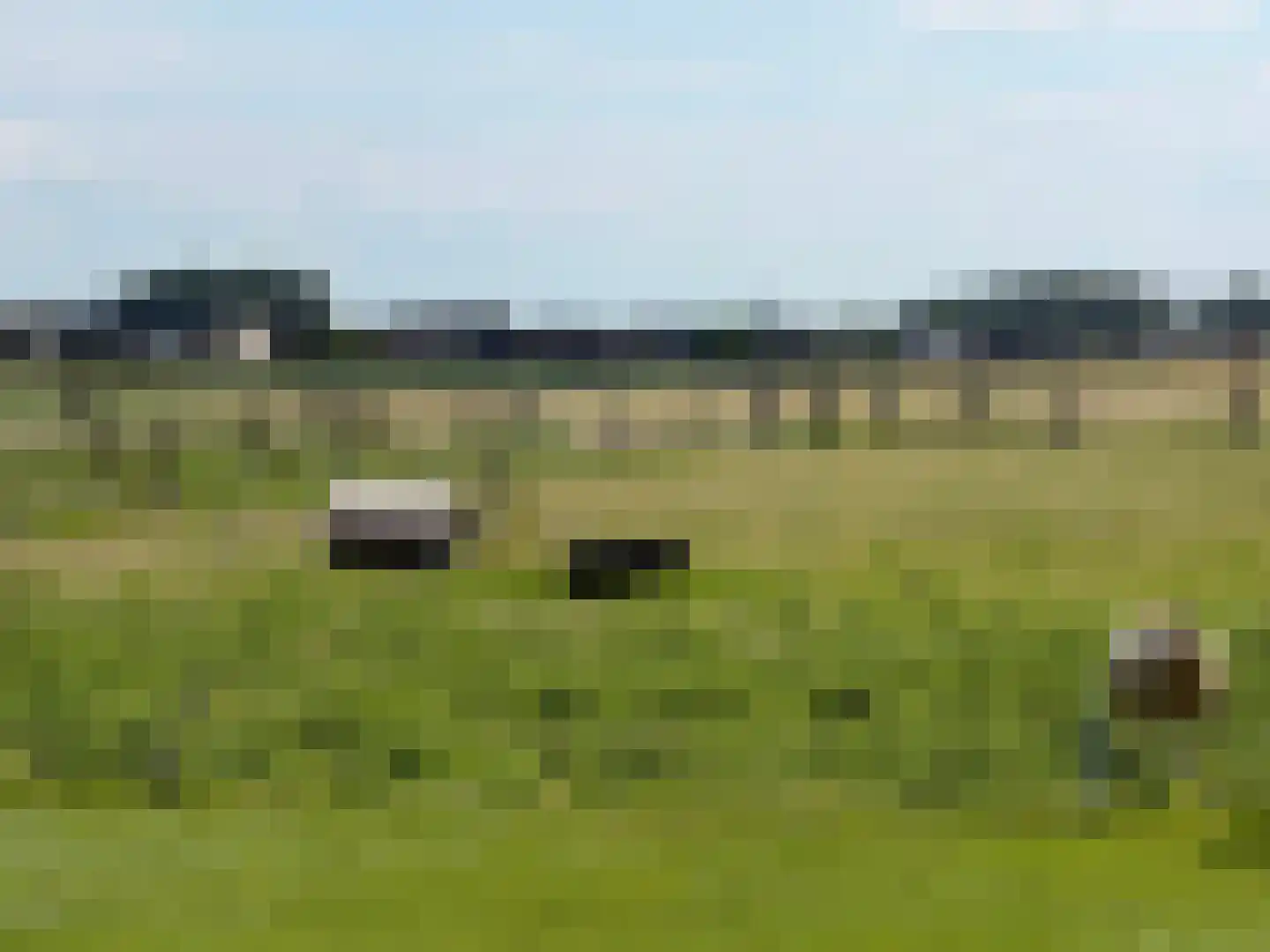 de Noord 52 GR IJsselmuiden thumbnail 29