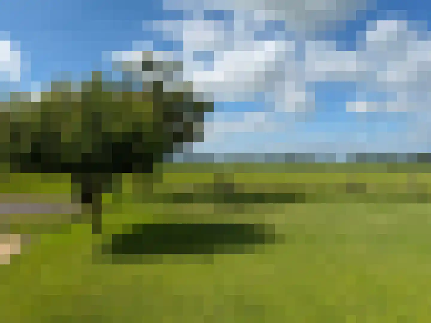 de Noord 52 GR IJsselmuiden thumbnail 6