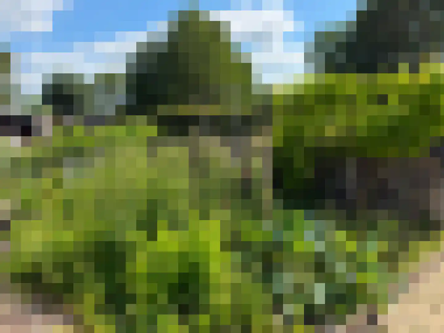 de Noord 52 GR IJsselmuiden thumbnail 8
