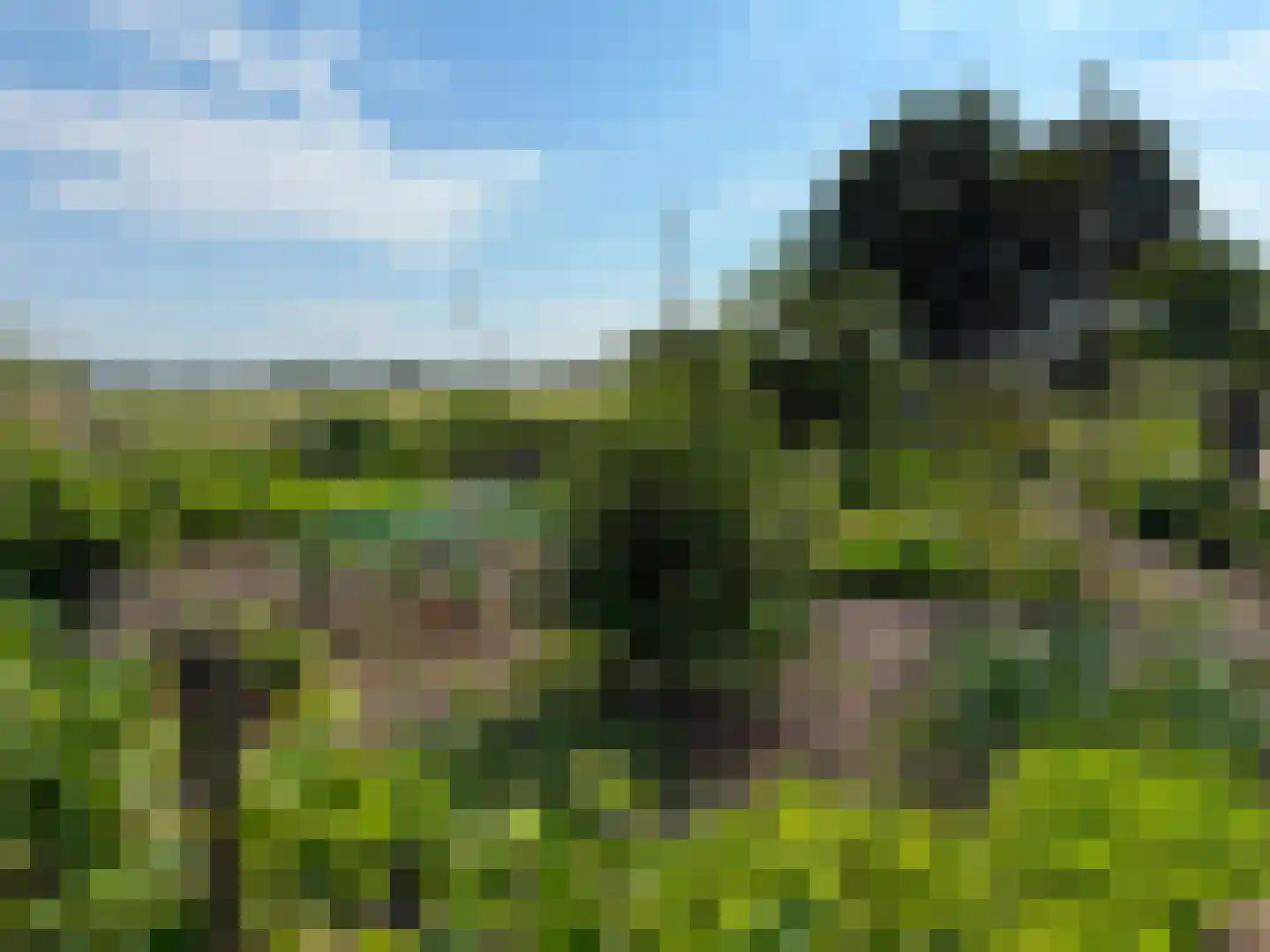 de Noord 52 GR IJsselmuiden thumbnail 9
