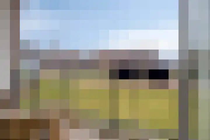 De Noord 56 C Dronten thumbnail 4
