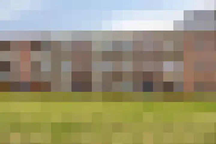De Noord 56 C Dronten thumbnail 6
