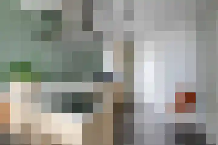De Noord 56 D Dronten thumbnail 16