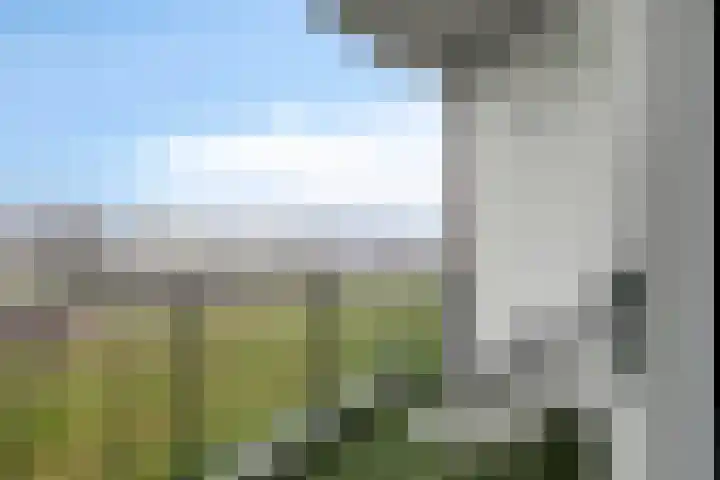 De Noord 56 D Dronten thumbnail 22