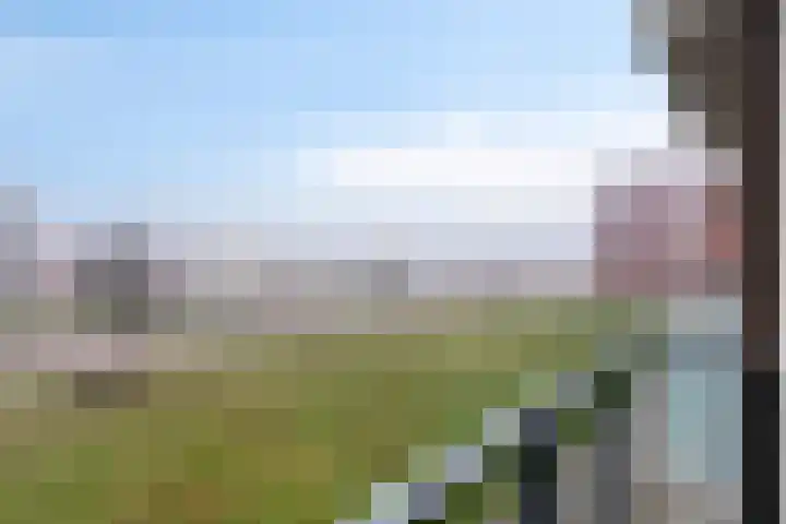 De Noord 56 D Dronten thumbnail 23