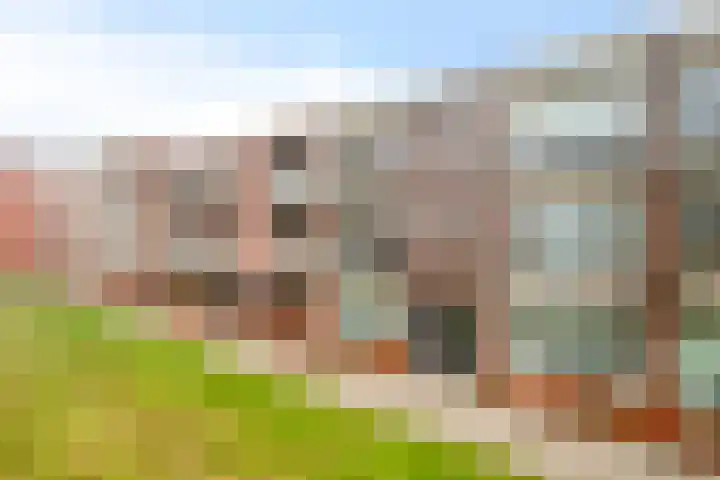 De Noord 56 D Dronten thumbnail 24