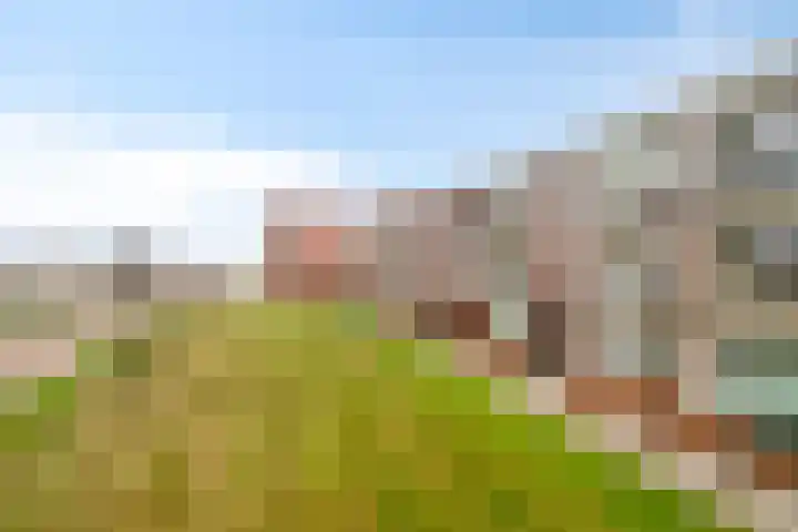 De Noord 56 D Dronten thumbnail 28