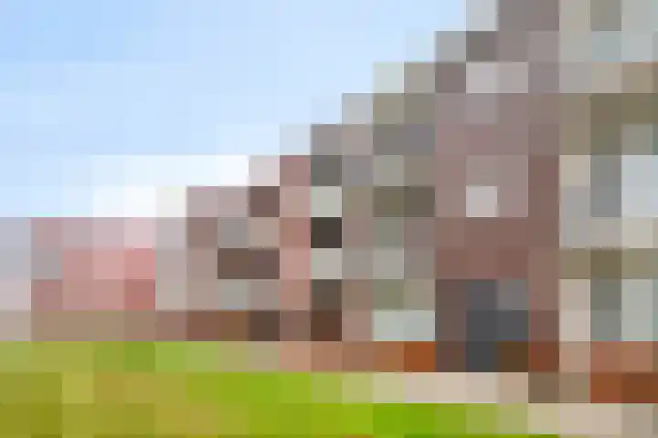 De Noord 56 D Dronten thumbnail 29