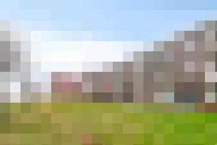 De Noord 56 D Dronten thumbnail 30