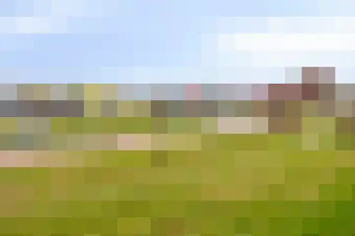 De Noord 58 C Dronten thumbnail 24