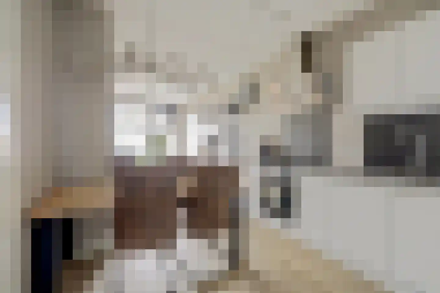 De Noord 58 D Dronten thumbnail 4