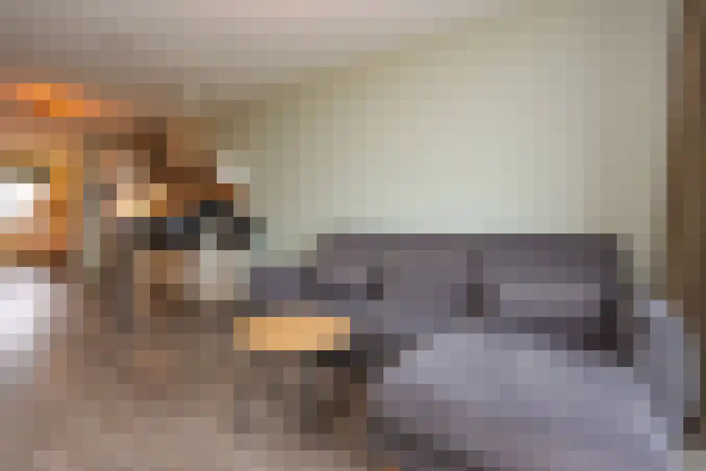 De Noord 58 E Dronten thumbnail 10