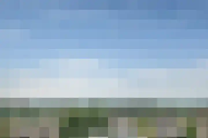 De Noord 58 E Dronten thumbnail 20