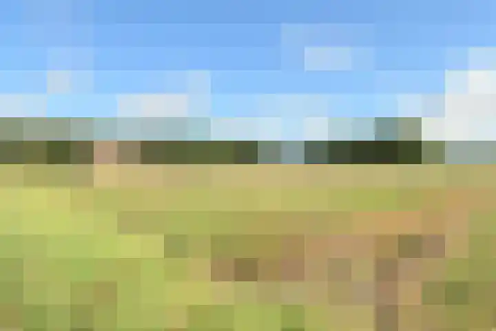 De Noord 58 E Dronten thumbnail 23