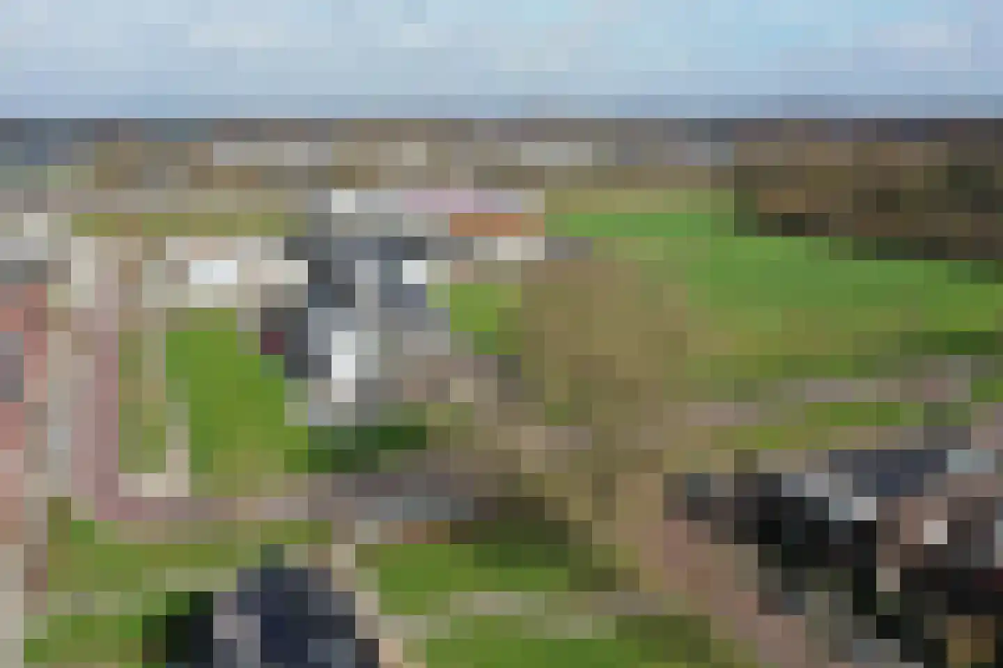 De Noord 58 E Dronten thumbnail 32