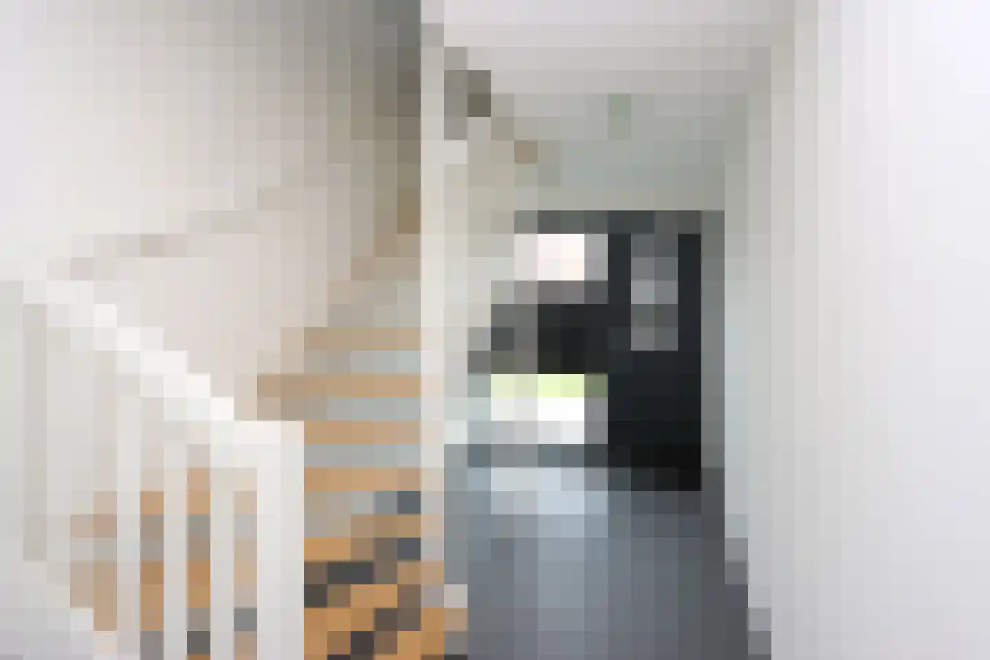 De Noord 58 E Dronten thumbnail 8