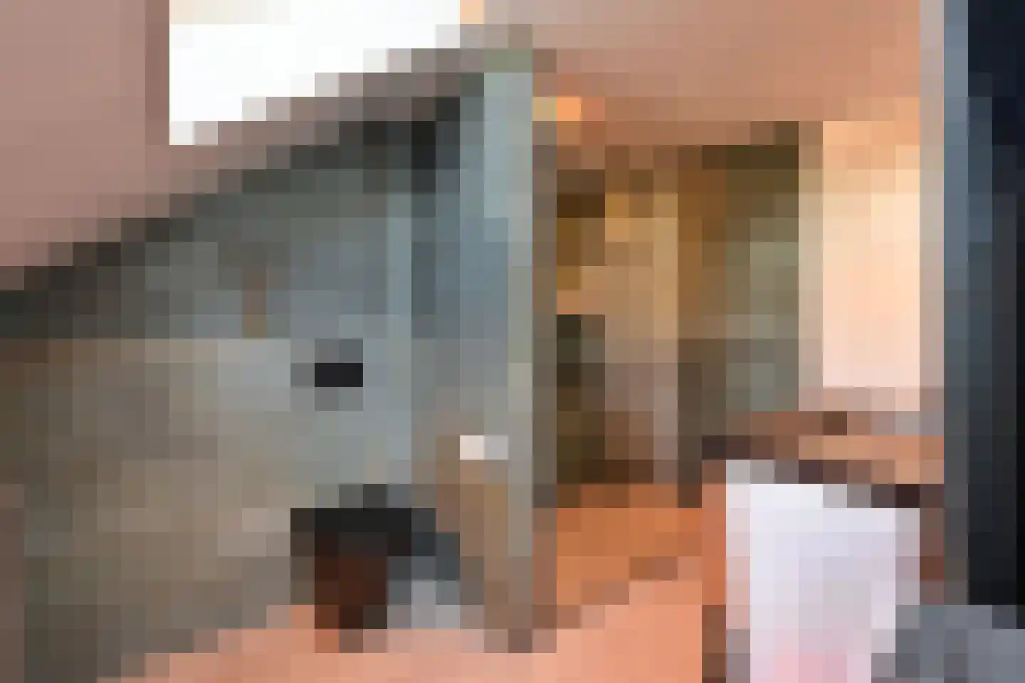 de Noord 6 Blaricum thumbnail 10